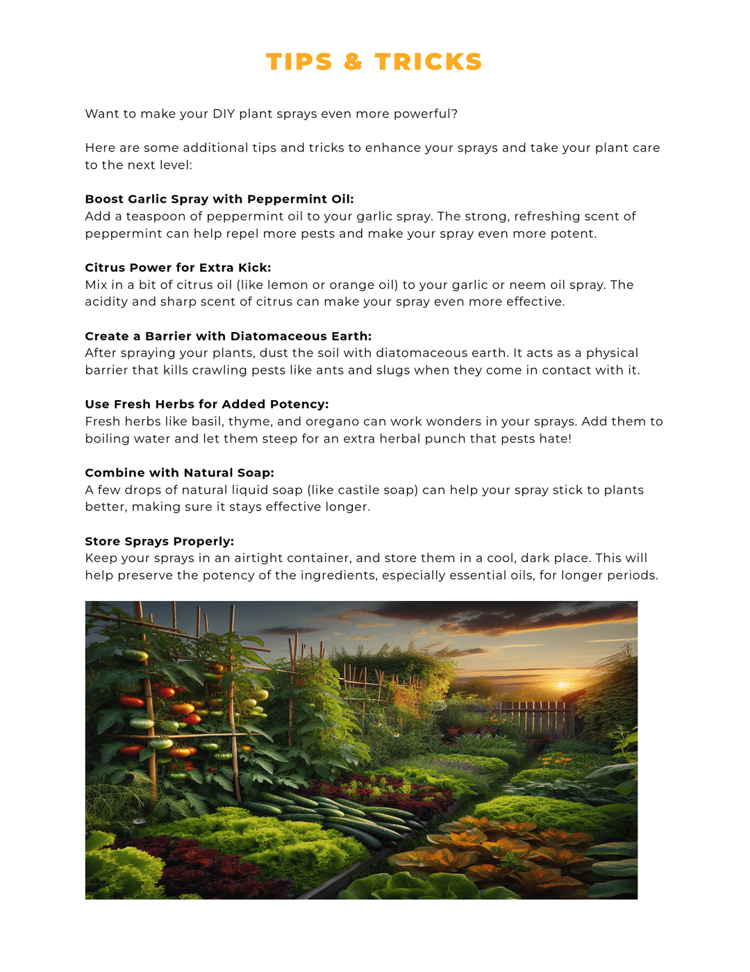 book page 3
