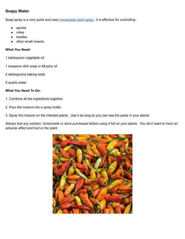 book page 6